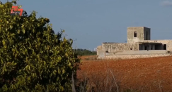 فيديو: تعرّف على قرية بيت دجن - قضاء يافا